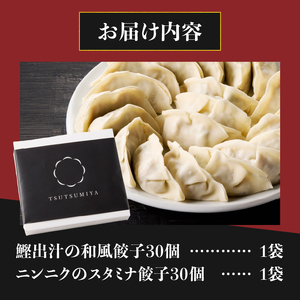 和風餃子 スタミナ餃子 各30個(計60個) セット ギョーザ 鰹出汁 ニンニク おかず おつまみ 食べ比べ 特製 中華 食品 冷凍発送 富士市 [sf001-220]