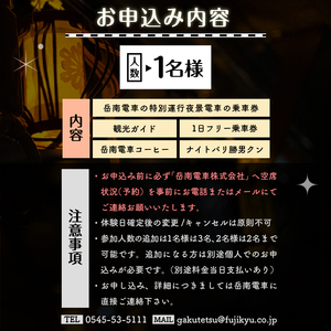 【お申込み前にご連絡を】全駅から「富士山が望める」地方鉄道 ～岳南電車応援事業～ I 富士を望む岳南電車の夜景電車体験ツアー券 《1名様》 乗車券 特別運行 工場夜景 景色 富士山 列車 静岡県 富士市 [sf002-427]