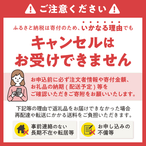 緑茶ティーバッグ (5g20個) 3袋 まるみず園 本格的な味わい 国産煎茶 静岡茶 家庭用緑茶 香り高い 大容量タイプ 2～3人用 簡単 手軽 水出し ティータイム リラックス 静岡県 富士市 [sf002-515]