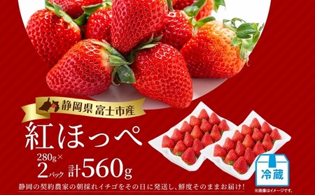 期間限定 富士市産 いちご 紅ほっぺ 約280g×2p 朝どれ 新鮮いちご 糖度が高い 甘み 香り 凝縮 酸味 ジューシー ほっぺが落ちる 人気 果物 フルーツ 旬 ギフト 贈り物 【配送不可地域：沖縄・離島】 [sf123-001]