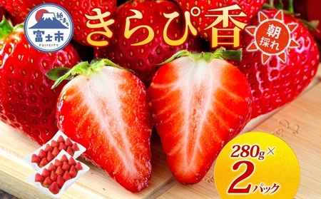 期間限定 富士市産 いちご きらぴ香 約280g×2p 朝どれ 新鮮いちご 糖度が高い 甘み 上品な香り 凝縮 爽やか 酸味控えめ みずみずしい なめらか 果物 フルーツ 旬 ギフト 贈り物 【配送不可地域：沖縄・離島】 [sf123-003]