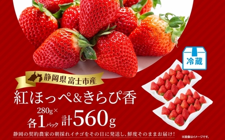 期間限定 富士市産 いちご 2種セット 紅ほっぺ きらぴ香 各1P (1P約280g入) 食べ比べ 朝どれ 新鮮 高糖度 甘み 香り 酸味 ジューシー 人気 果物 フルーツ 旬 ギフト 贈り物 【配送不可地域：沖縄・離島】 [sf123-005]