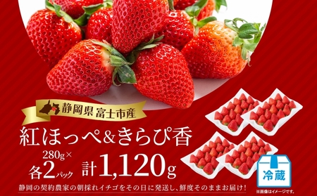 期間限定 富士市産 いちご 2種セット 紅ほっぺ きらぴ香 各2P (1P約280g入) 食べ比べ 朝どれ 新鮮 高糖度 甘み 香り 酸味 ジューシー 人気 果物 フルーツ 旬 ギフト 贈り物 【配送不可地域：沖縄・離島】 [sf123-006]