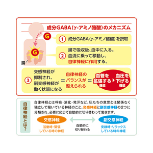 サプリメント GABA (ギャバ) 約30日分 60粒 血圧 アミノ酸 美容 健康 機能性表示食品 FUJIFILM 静岡県 富士市 [sf001-377]