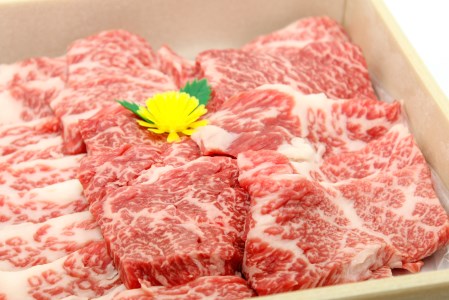 あしたか牛 焼肉用お得セット 500ｇ 静岡県富士市 ふるさと納税サイト ふるなび