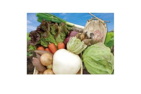 富士の新鮮な季節野菜セット 詰め合わせ 旬 新鮮 富士市 [sf001-009]