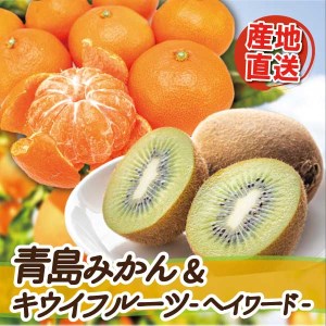 青島みかん9kg&キウイフルーツ(ヘイワード)4kgの詰め合わせ
