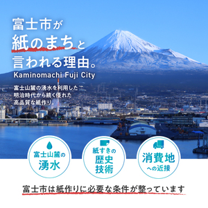 元気と快適を「備える」～みんな元気になるトイレ事業～B(1265)備蓄用　トイレットペーパー　防災