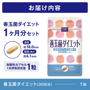 DHC 善玉菌ダイエット 30日分 サプリメント 生きた善玉菌 ビフィズス菌 菌活 腸内フローラ 簡単 手軽 すっきり環境 健康 富士市 [sf014-014]