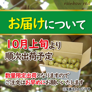 【先行受付】 キウイフルーツ（レインボーレッドR）2kg 極旨  高糖度 詰め合わせ 25～30玉前後 期間限定 (a1525)