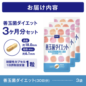 DHC 善玉菌ダイエット 30日分 3ヶ月分 セット サプリメント ビフィズス菌 B-3 腸内環境 フローラ 手軽 簡単 菌活 耐酸性カプセル 健康 富士市 [sf014-019]