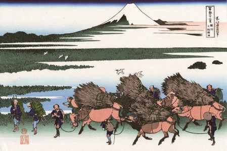 ふるさと納税 服 静岡県 富士市 1754富士の魅力を「知る」〜いただきへの・はじまり　富士市〜A 1754富士の魅力を「知る」～いただきへの・はじまり 富士市～A