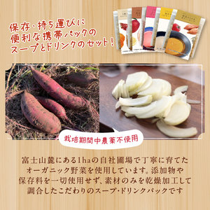 富士山麓のこだわり野菜スープ・ドリンク 計10パック セット 詰め合せ 無添加 オーガニック ポタージュ 携帯パック 非常食 備蓄 防災 静岡県 富士市 [sf051-002]