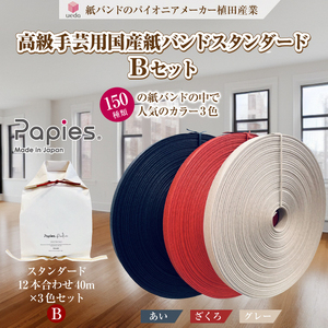 植田産業イチオシ 手芸用紙バンドPapies人気カラー12本合わせ40m×3種 Bセット [sf002-184]