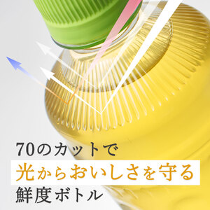 ［定期便６回］お～いお茶緑茶PEＴ６００ml [sf066-018]