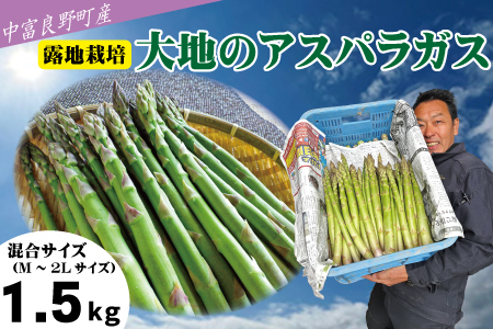 【2026年発送】【中富良野町寺坂農園】大地のアスパラガス（1.5㎏）【BF-016】