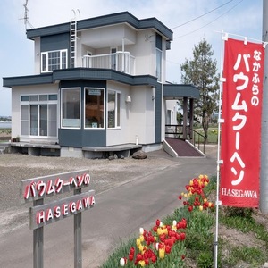 バウムクーヘン詰め合わせ（10個入り）【AL-006】