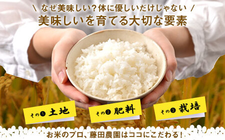 【令和7年産】お米ゆめぴりか　10kg（玄米）【AO-018】