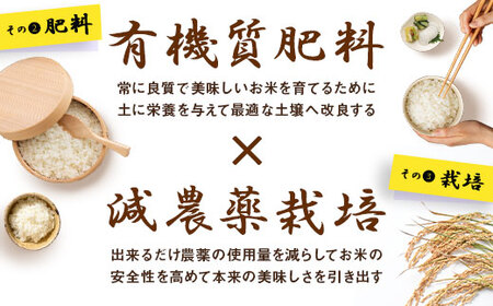 【令和7年産】お米ゆめぴりか　10kg（無洗米）【AO-019】