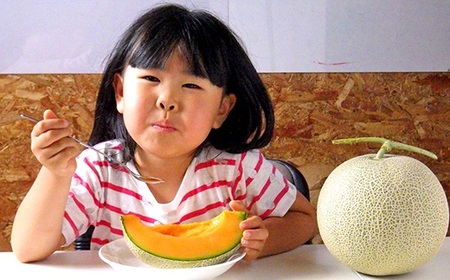 【2026年発送】【中富良野町】寺坂メロン 4玉入り(赤肉超特大)【BF-026】