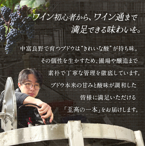 ドルチェロッソ　デザートワイン375ml×2本【AZ-058】