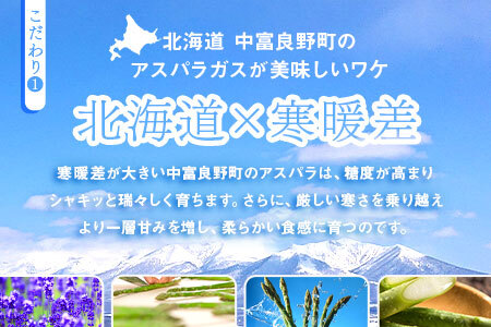 【2026年発送】中富良野町産ハウス栽培グリーンアスパラ800g【CC-001】