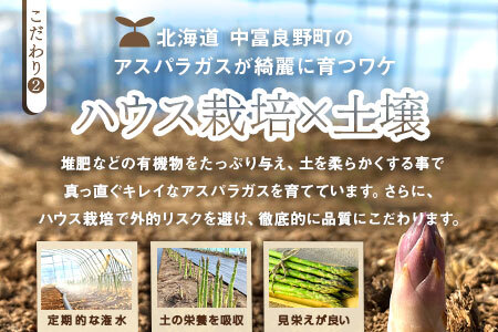 【2026年発送】中富良野町産ハウス栽培グリーンアスパラ800g【CC-001】