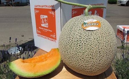 【2026年発送】中富良野赤肉メロン2玉(計2.6kg~)【AB-017】