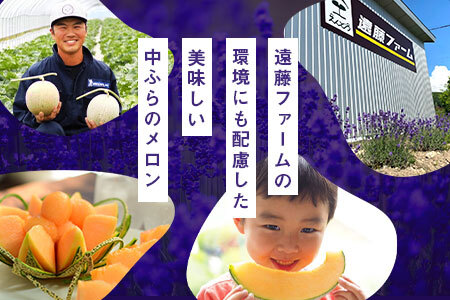 【2026年発送】遠藤ファームの中富良野メロン青肉大玉2玉(計3.2kg以上)【AX-008】