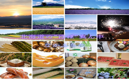 なかふらの赤肉メロンアイス　10個入【CD-004】