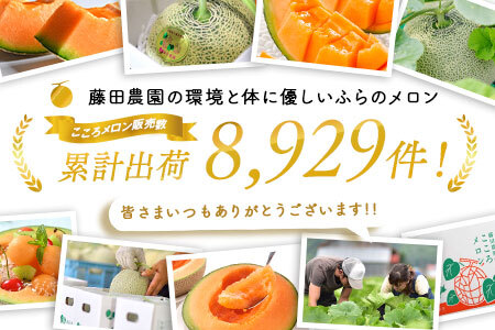 【2026年発送】ふらのメロン(赤肉) 2玉（計2.6㎏～）【AO-032】