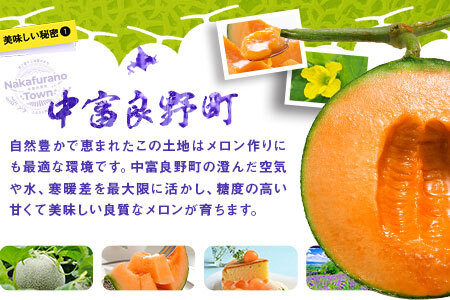 【2026年発送】ふらのメロン(赤肉) 2玉（計2.6㎏～）【AO-032】
