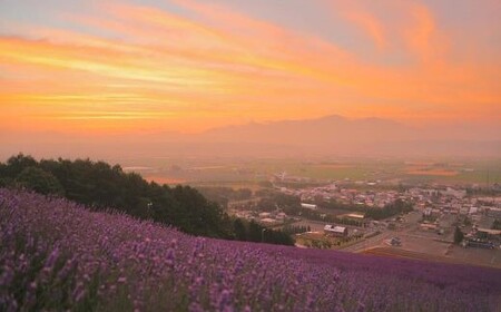 なかふらのインク　初夏～朝日に照らされて～（１瓶）【CD-009】