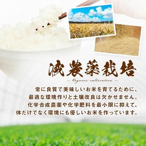 【令和7年度産】ゆめぴりか 精米 9kg(4.5kg×2袋)【小玉農園】【CF-008】