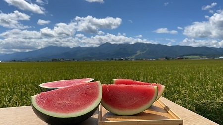 【2026年発送】種なしスイカ　1玉　（6kg～）【AW-012】