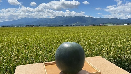 【2026年発送】種なしスイカ　1玉　（9kg～）【AW-019】