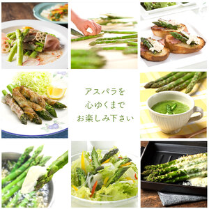 有機栽培アスパラ1㎏（サイズ混合）【AN-017】