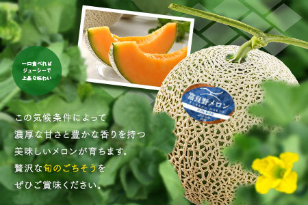 【2026年発送】【秀品】富良野メロン2玉（約2kg×2玉）【JAふらの】【AC-004】