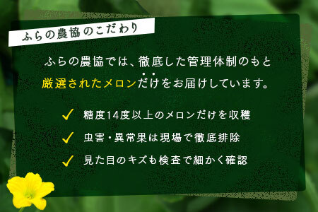 【2026年発送】富良野メロン4～5玉（計8kg以上）【JAふらの】【AC-015】