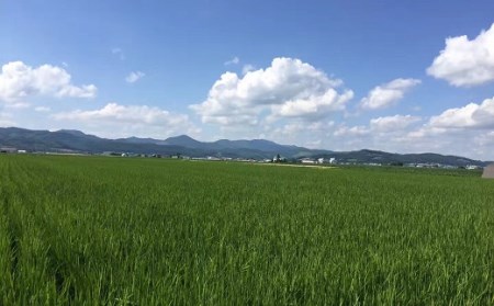 【2024年度米】山内農園　ななつぼし　10kg【無洗米】【AW-006】