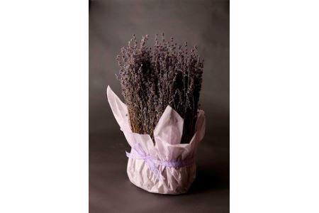 【2025年7月収穫】ドライフラワー　おかむらさき【AA-006】