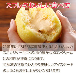 メロンスフレ 10個入り【AR-007】