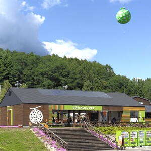 メロンスフレ 10個入り【AR-007】