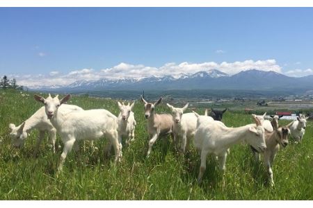 【メリメロ】ブラン2本【AZ-007】