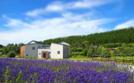 【ビーガン・完全無添加】有機スパイスのビーガンカレー【AT-016】