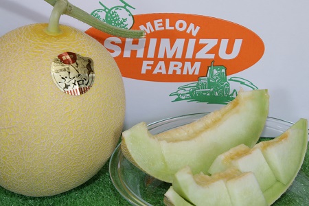 【2026年発送】中富良野産　黄美香（青肉）メロン5～6玉8kg以上【BQ-003】