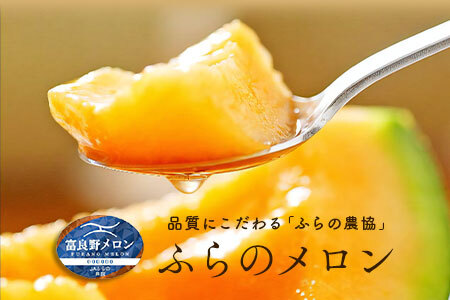 【2026年発送】【秀品】富良野メロン2玉（約1.6kg×2玉）【JAふらの】【AC-017】