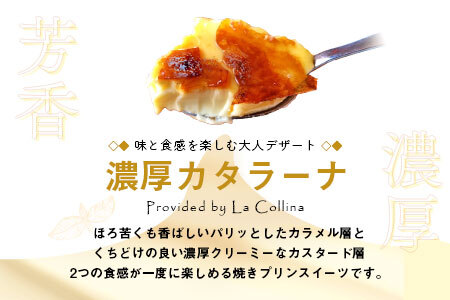 カタラーナ プレーン2個セット【AM-037】