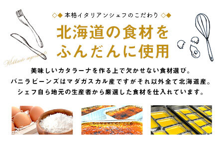 カタラーナ プレーン2個セット【AM-037】