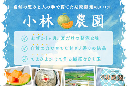 【2026年発送】中富良野産赤肉メロン2玉（3.2kg～4.0kg）【BZ-001】